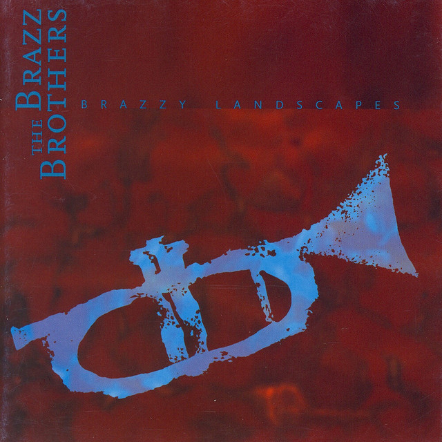 Brazzy Landscapes album cover
