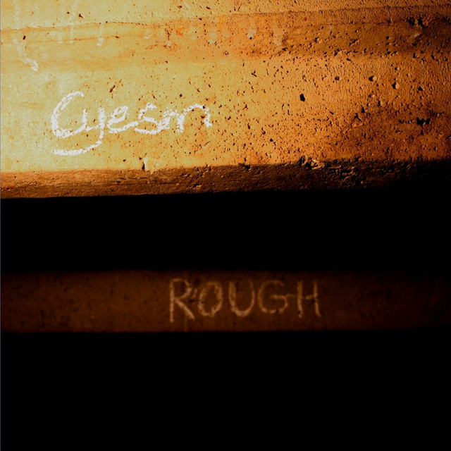 Rough album cover