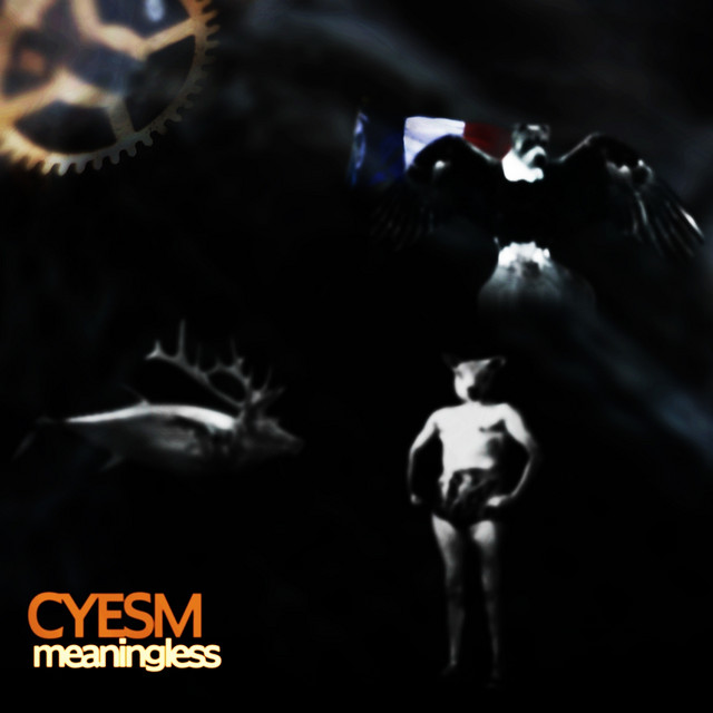 Meaningless album cover