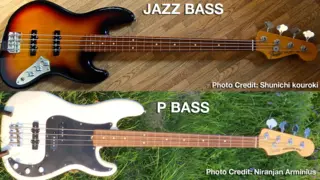 Jazz Bass vs P-Bass: Which Fender Icon Fits Your Style?