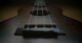 14 Best Ukuleles: A Guide for Beginners 2026