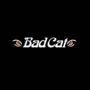 Bad Cat