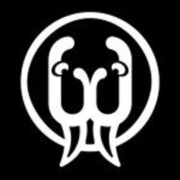 Walrus Audio
