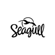 Seagull