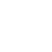Animal Factory Amplification
