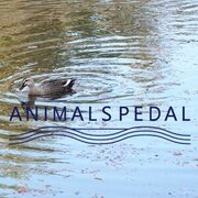 Animals Pedal