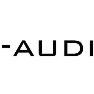 FX AUDIO