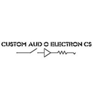 Custom Audio Electronics