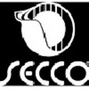 Secco Guitar
