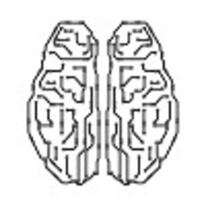 Boredbrain Music