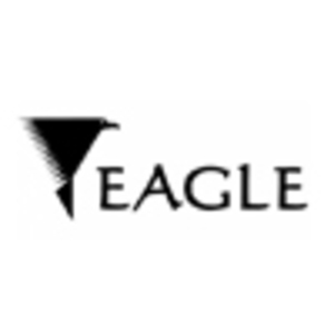 Eagle Instrumentos