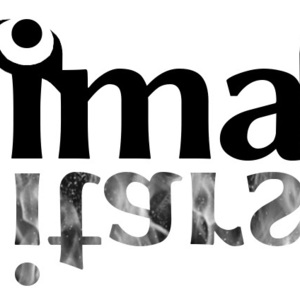 Chimaira Guitars