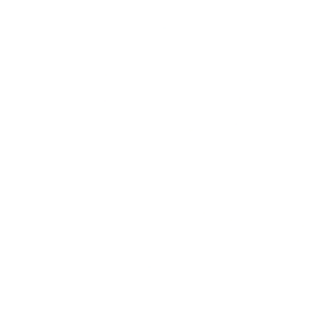 KZ Guitar Works