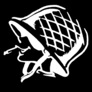 Combat Guitars