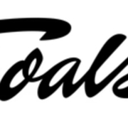Foals Guitar