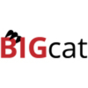 Bigcat Instruments