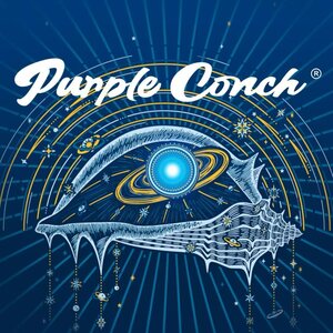 Purple Conch