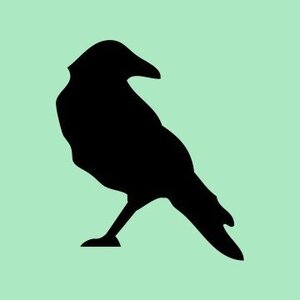 Blackbird