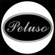 Peluso Microphone Lab