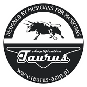 Taurus Amplification