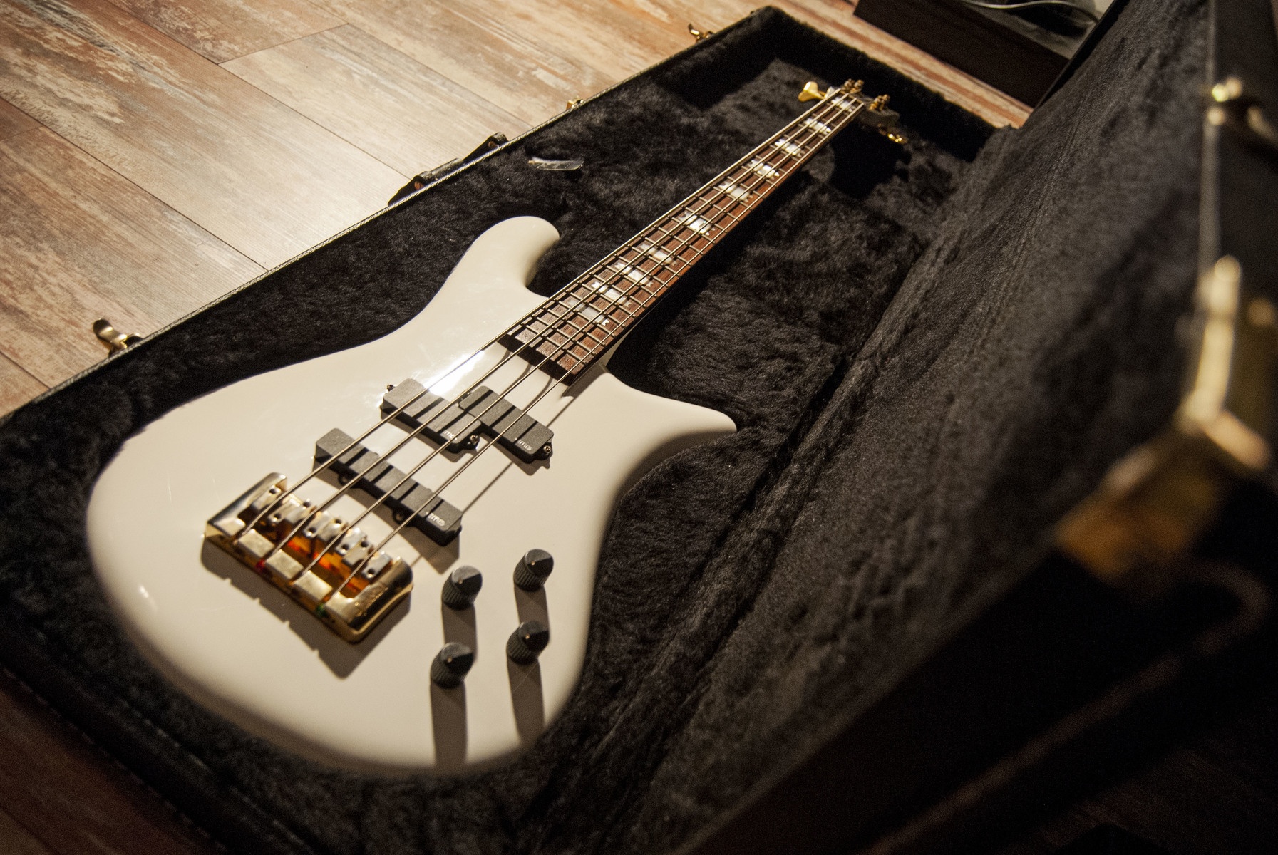 stevenmcangel's music gear photo