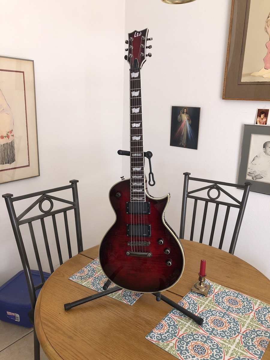Music Gear Setup by parhamdotcom featuring ESP LTD EC-401FM