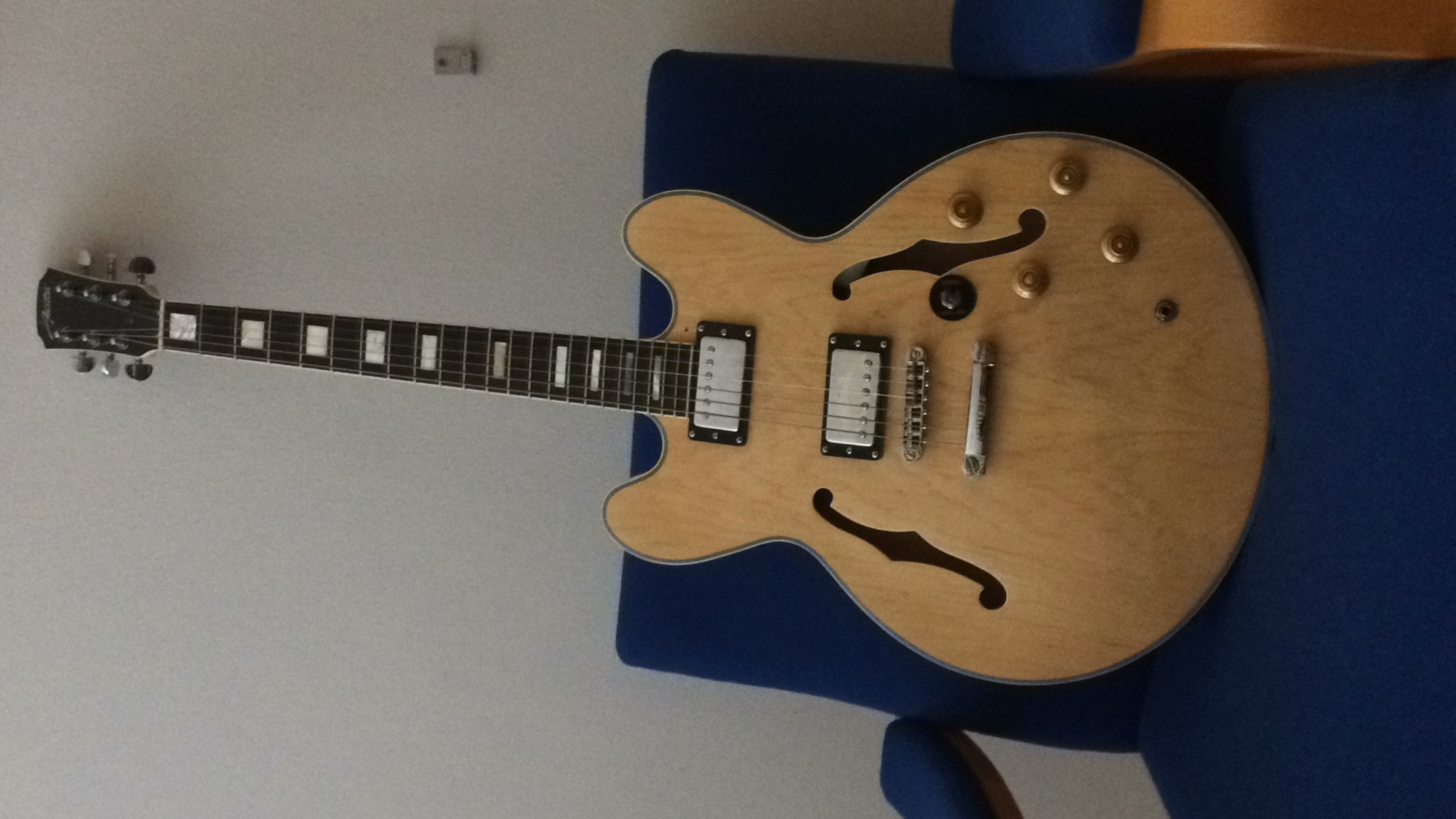 Music Gear Setup by perdeh featuring Austin Guitars AU796