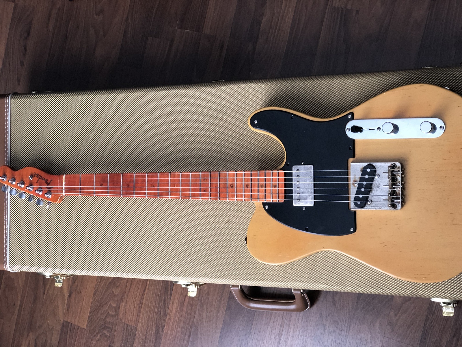 metapizzacat's music gear photo