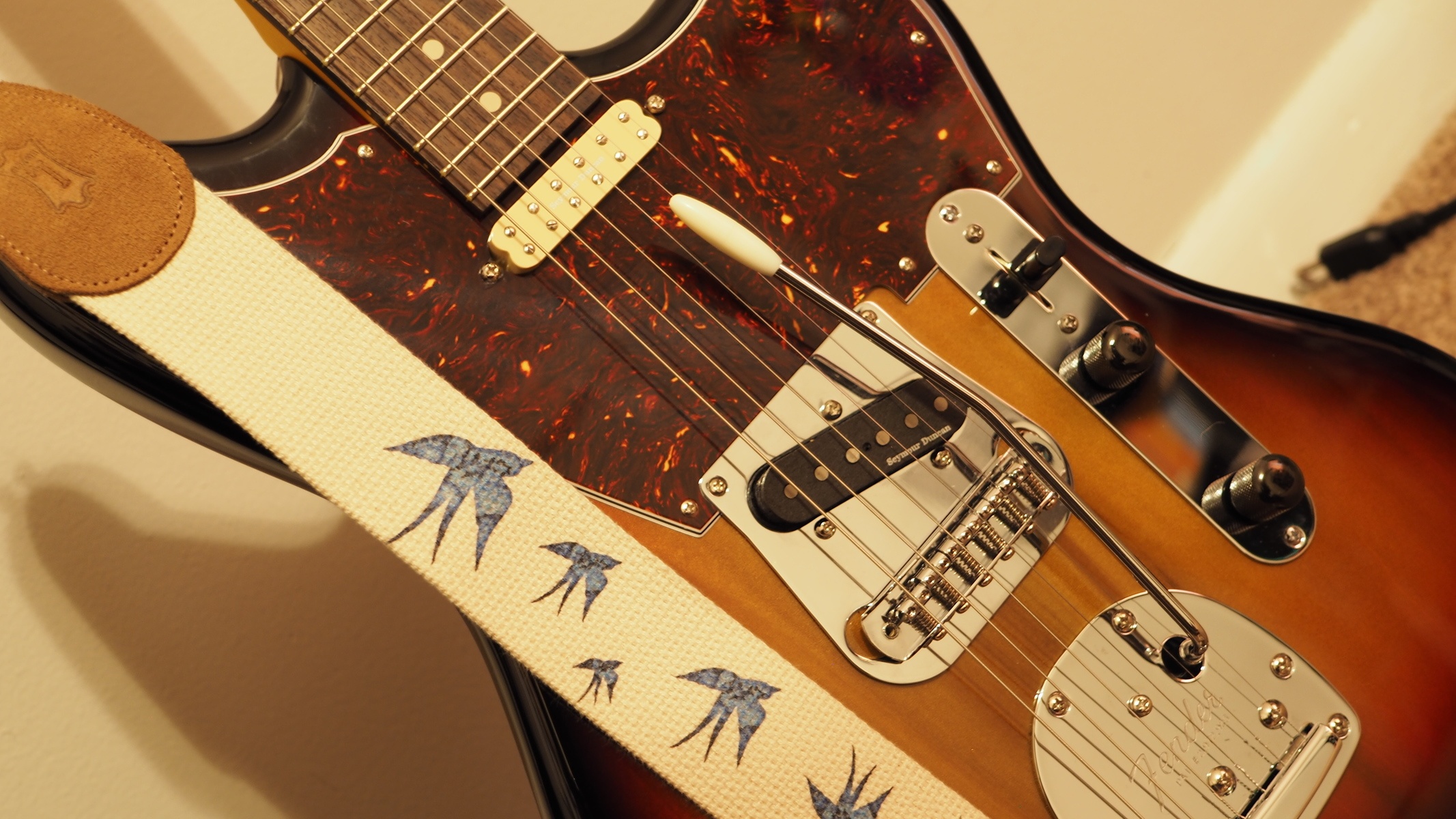 Music Gear Setup by lotmoon featuring Warmoth Jazzcaster
