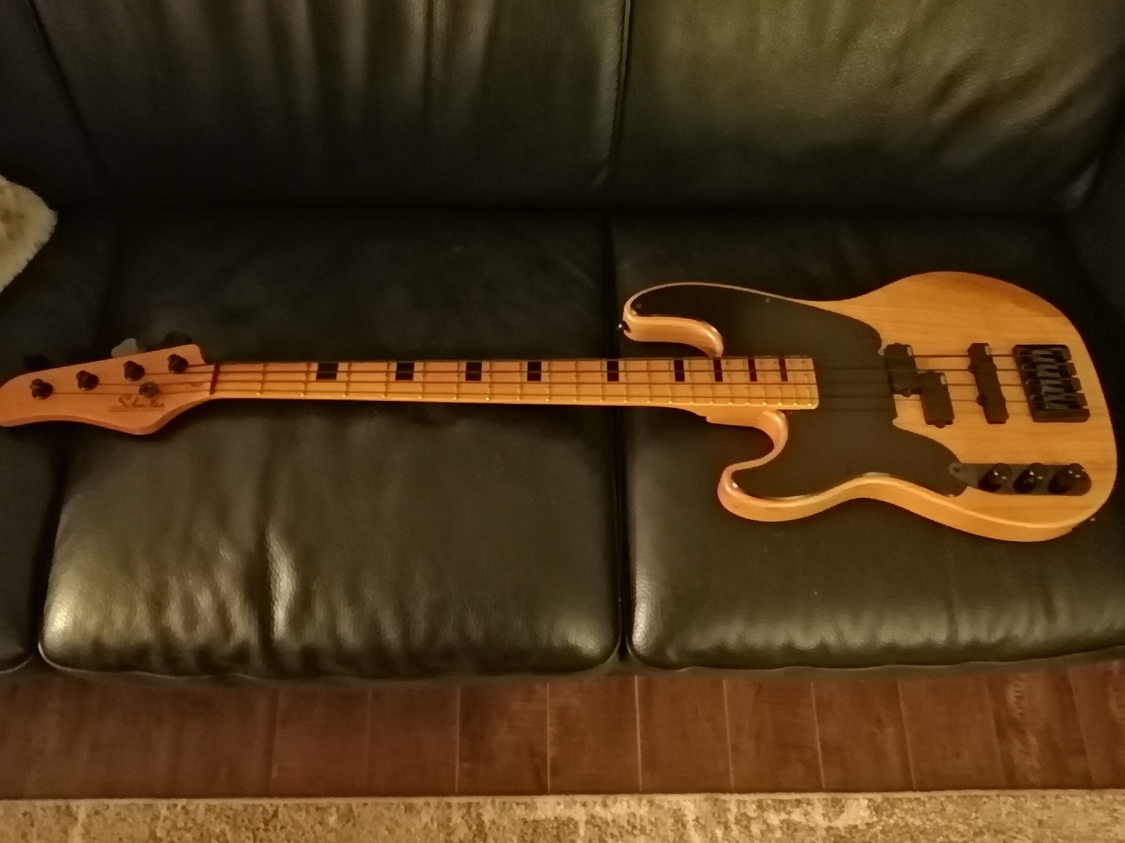 Music Gear Setup by ryan_brennan featuring Schecter Model-T Session