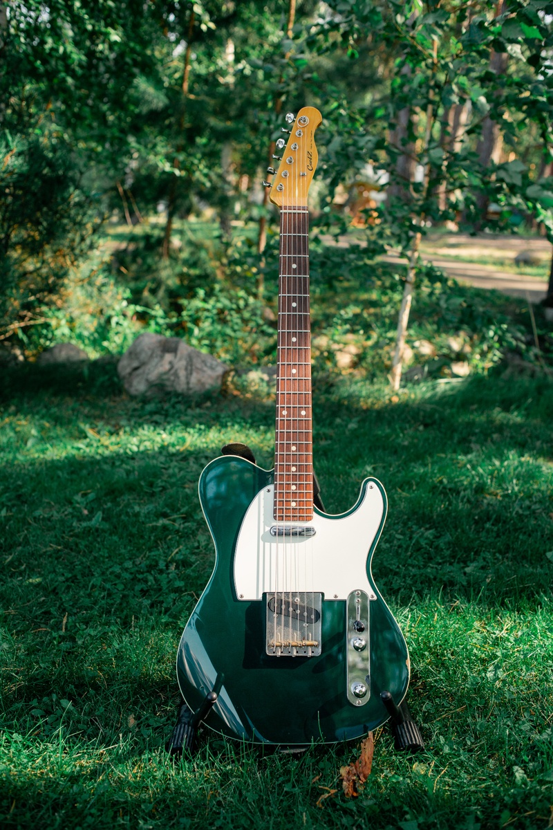 rivaffe's music gear photo