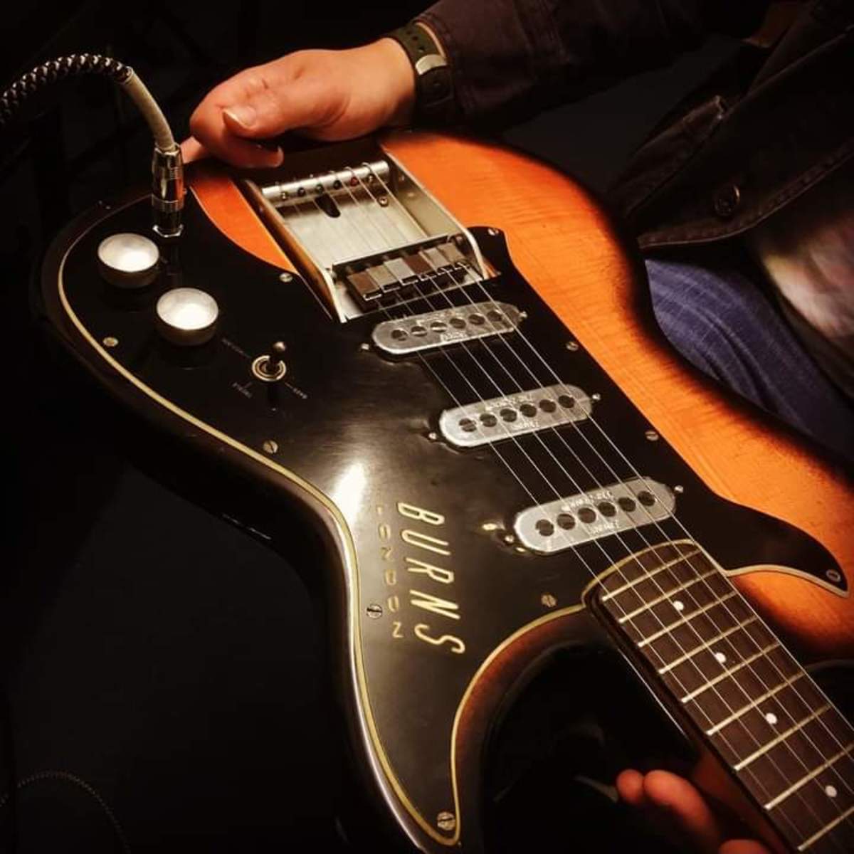 Music Gear Setup by markfox featuring Burns Vista Sonic Guitar