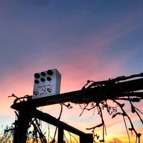 al_rivara's gear photo
