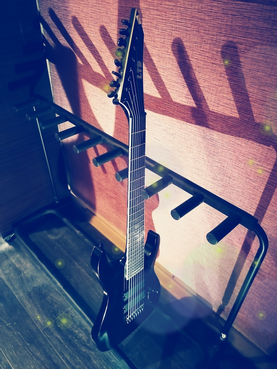 Music Gear Setup by mad_djentah featuring ESP LTD SC-608B RSP