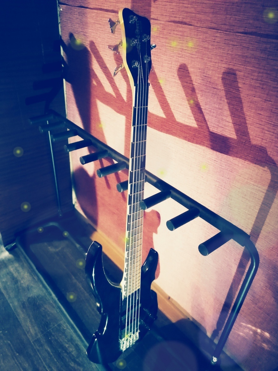 Music Gear Setup by mad_djentah featuring Warwick Rockbass Vampyre 5