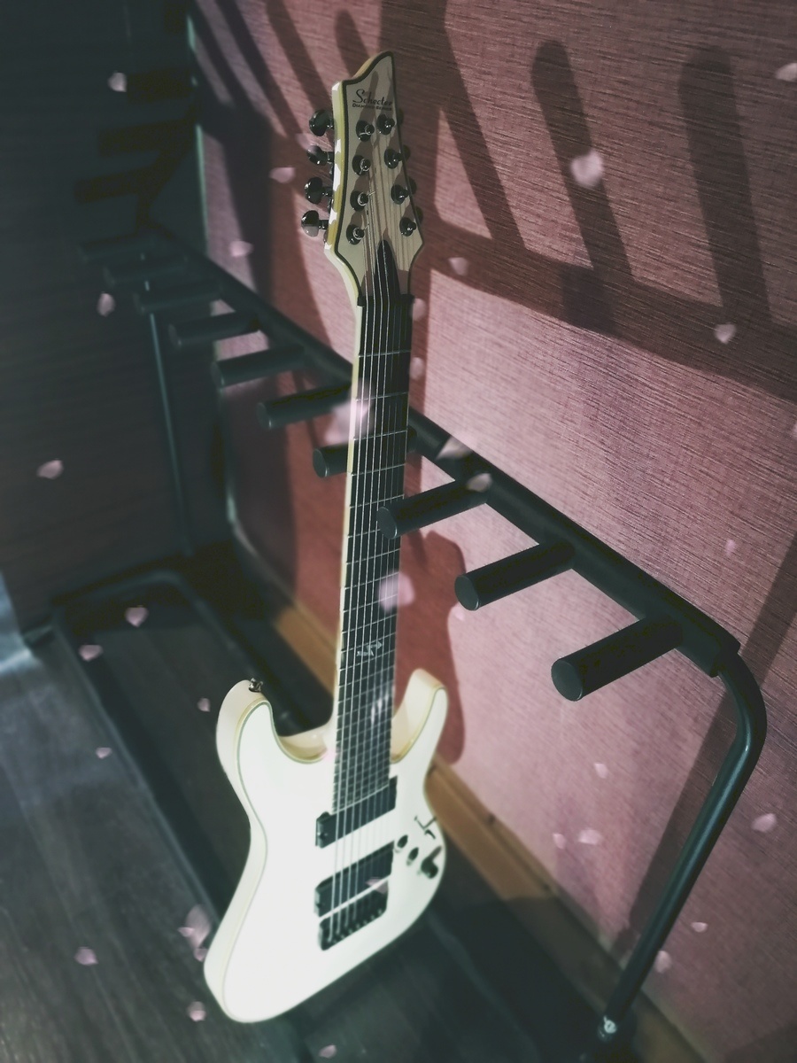 Music Gear Setup by mad_djentah featuring Schecter Blackjack ATX C-8