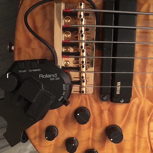 Photo of Roland GK-3B Divided Bass Pickup in a bass