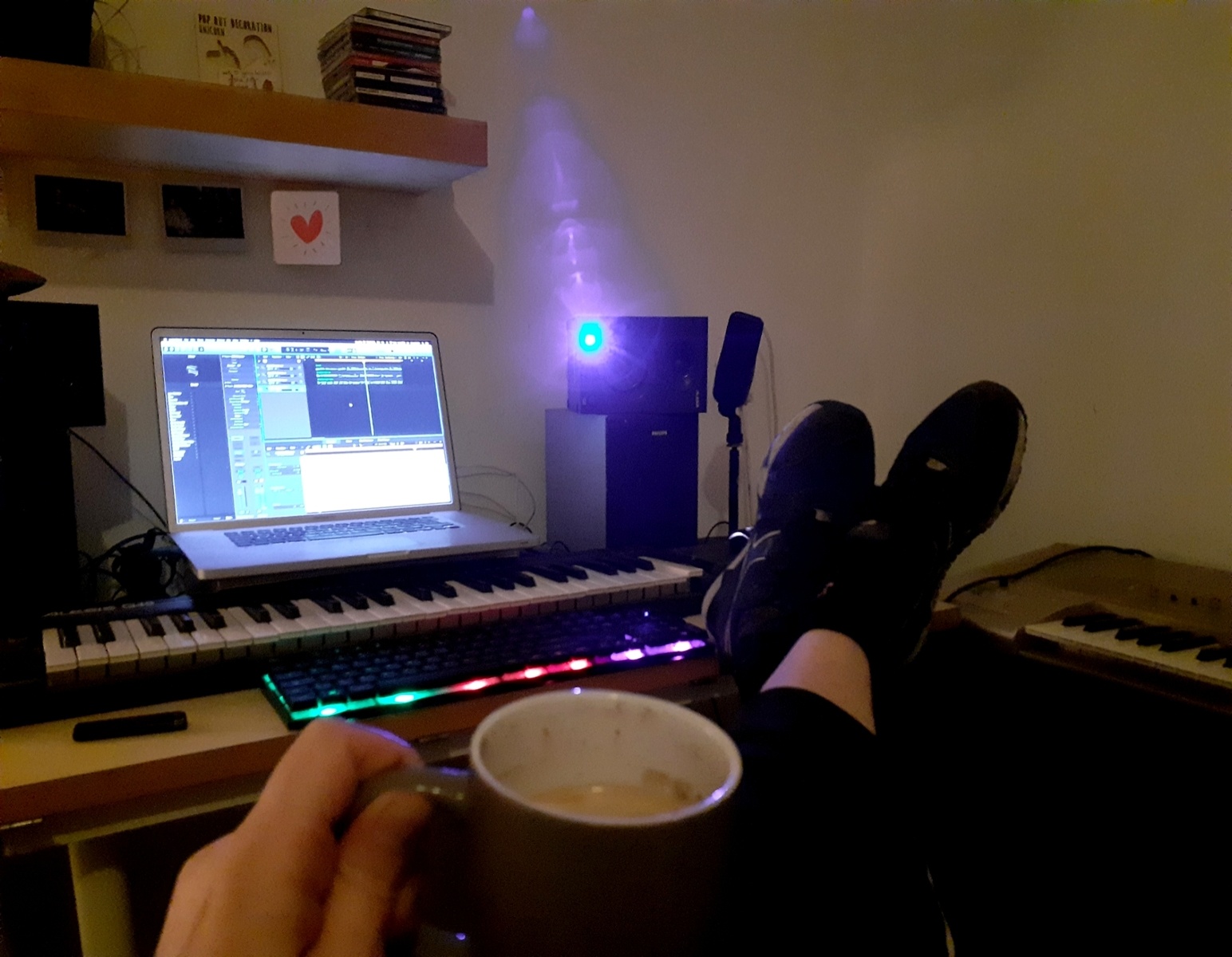 wilco_koster's music gear photo