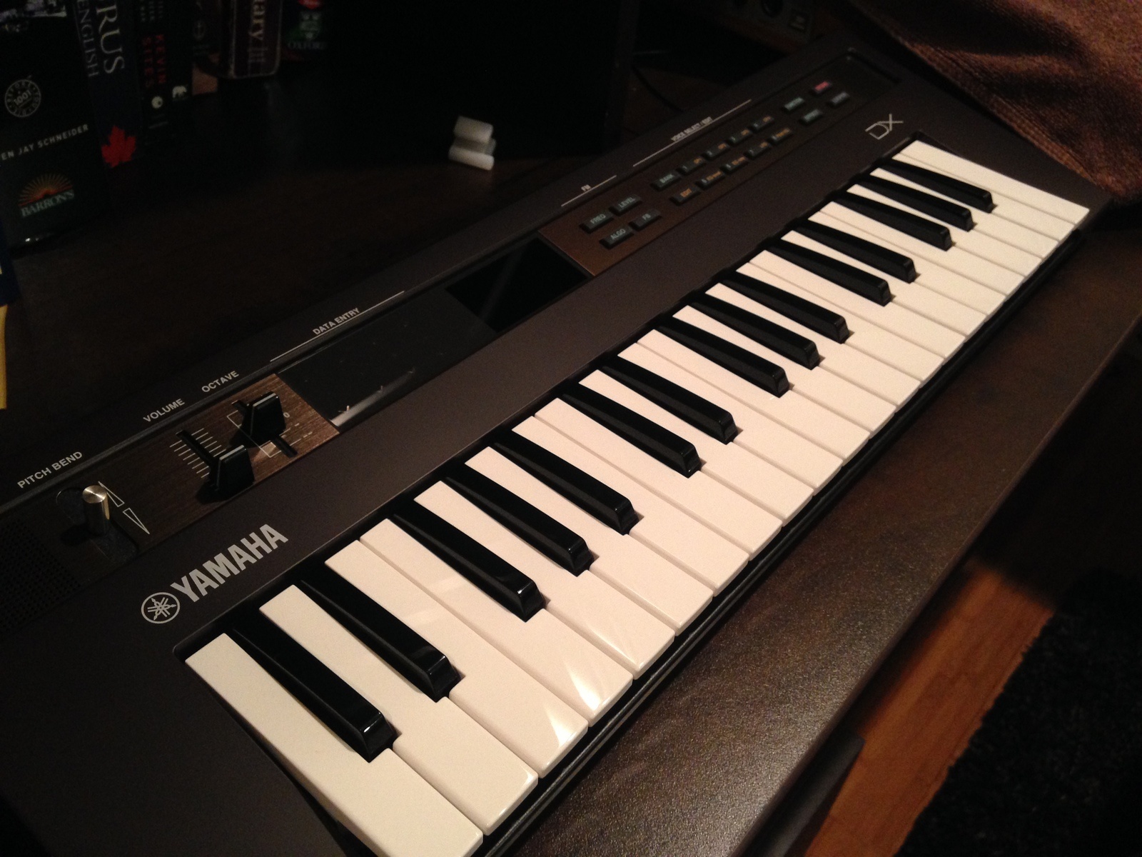 Electronic Synth Setup by seansnow99 featuring Yamaha Reface DX