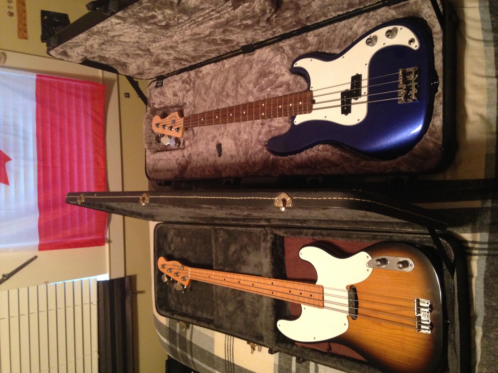 Music Gear Setup by seansnow99 featuring Fender Precision Bass and Fender Precision Bass '51 Reissue