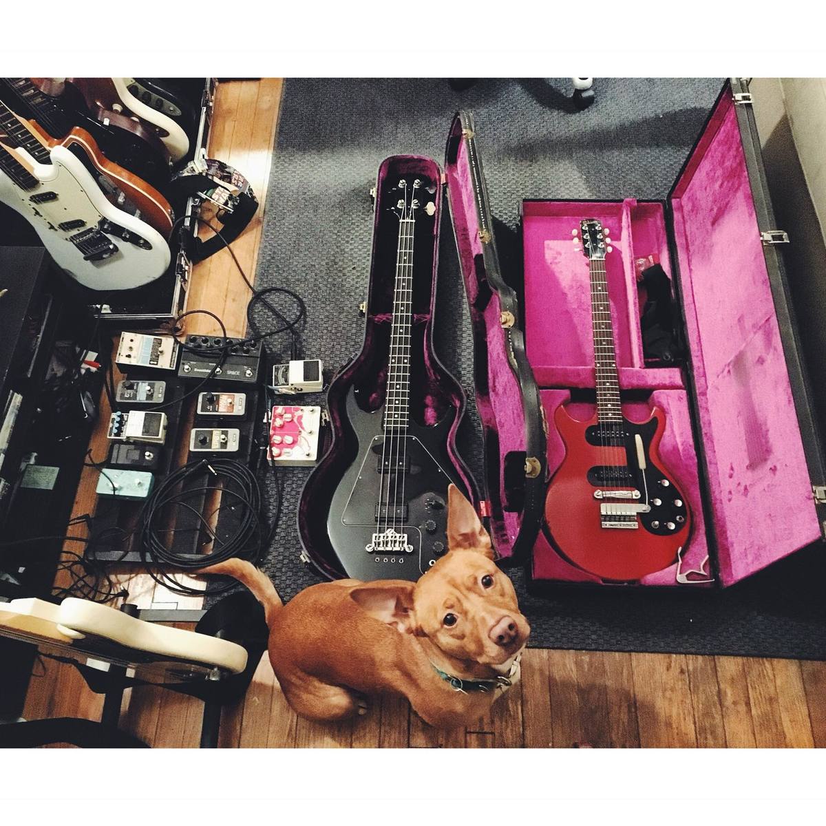 Pedalboard by colin featuring Fender Mustang Electric Guitar, Squier J Mascis Jazzmaster, and Fender Jazz Bass and 6 more pieces of gear