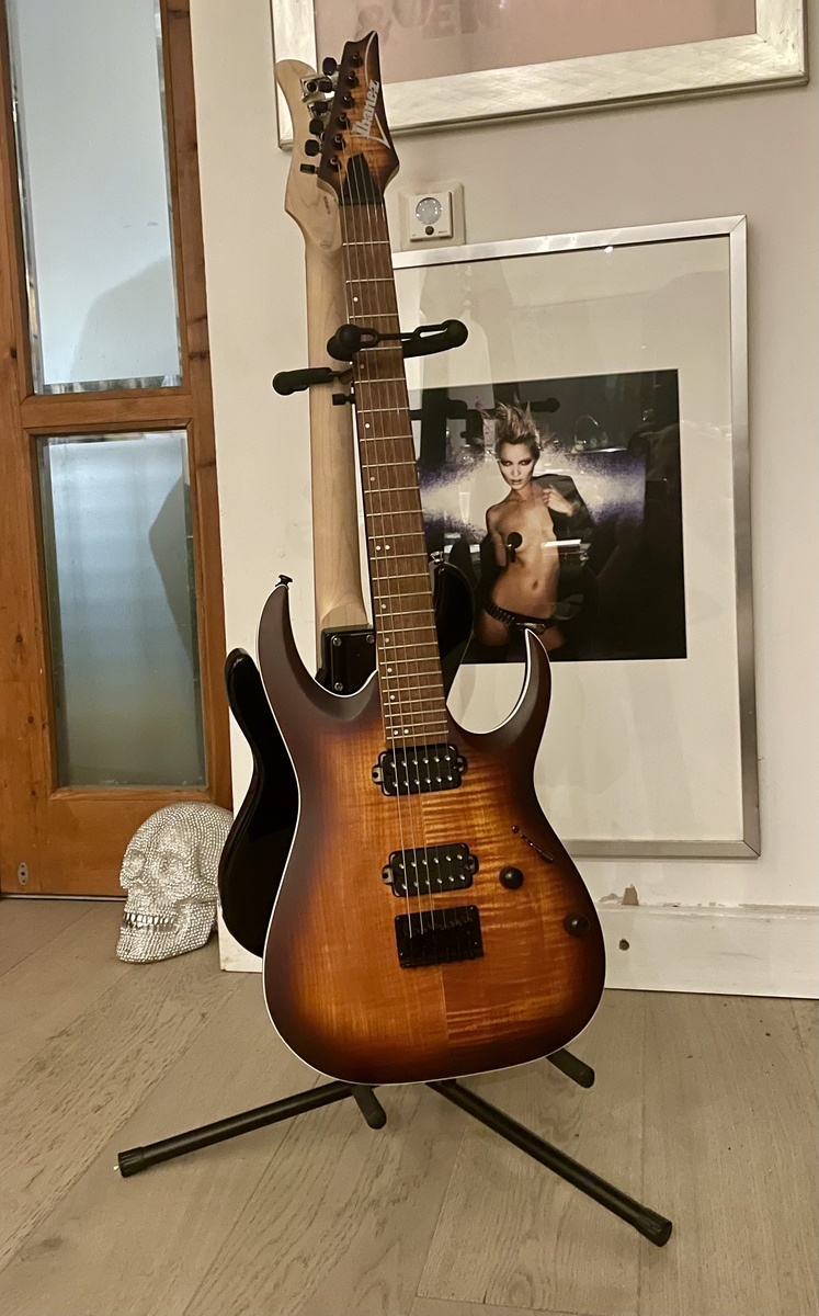 Music Gear Setup by guitar_trouble featuring Ibanez RGA42FM