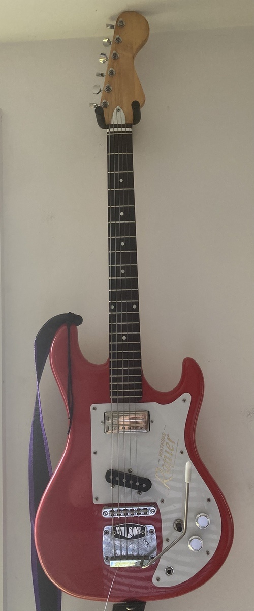 stuart_perry's music gear photo