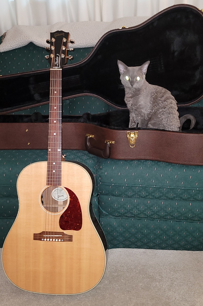 Music Gear Setup by jlaurence featuring Gibson Acoustic J-45 Studio