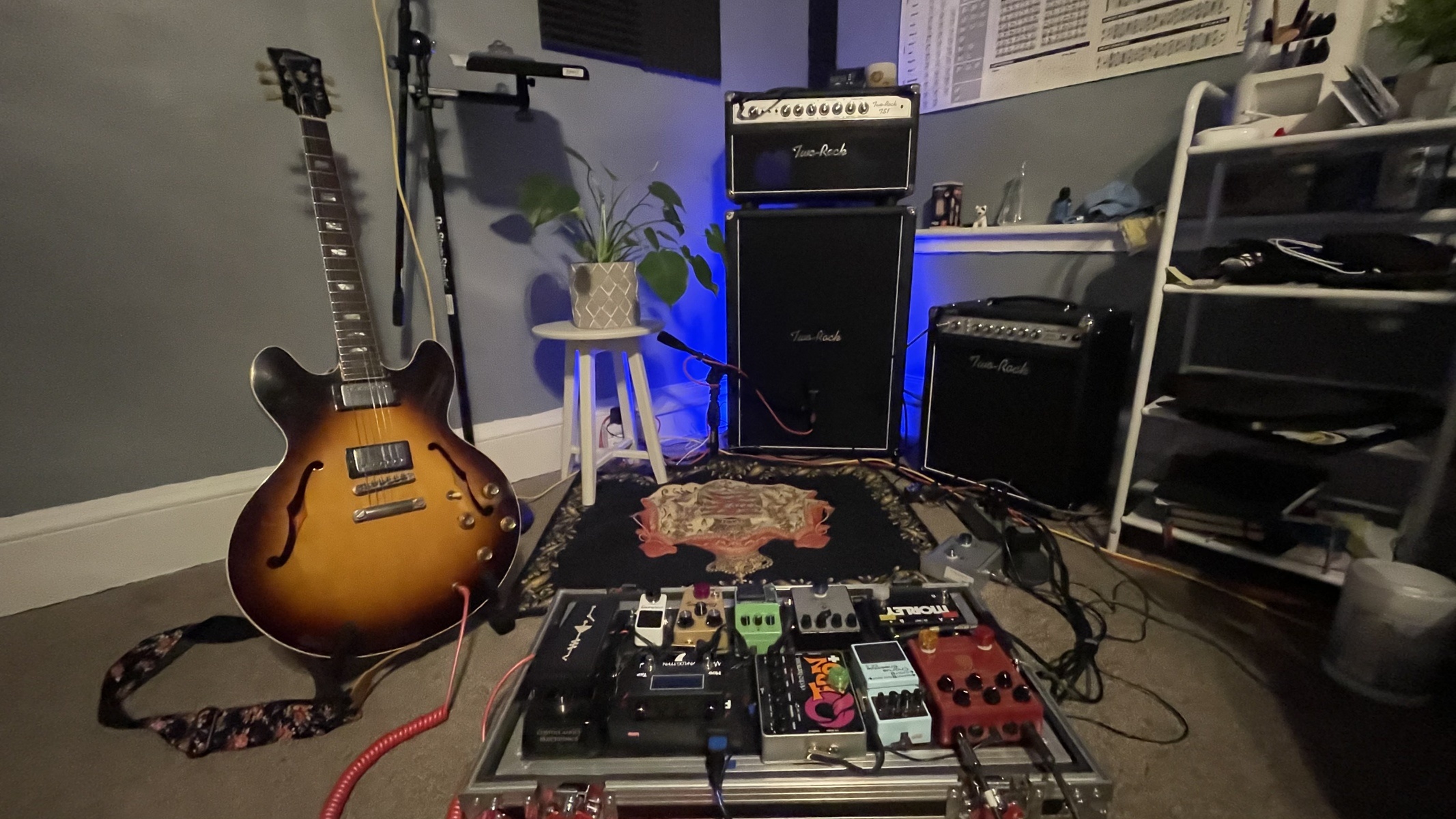 Country Pedalboard by terry_boring featuring Two-Rock Two Rock TS-1 Amplifier and Gibson ES-335