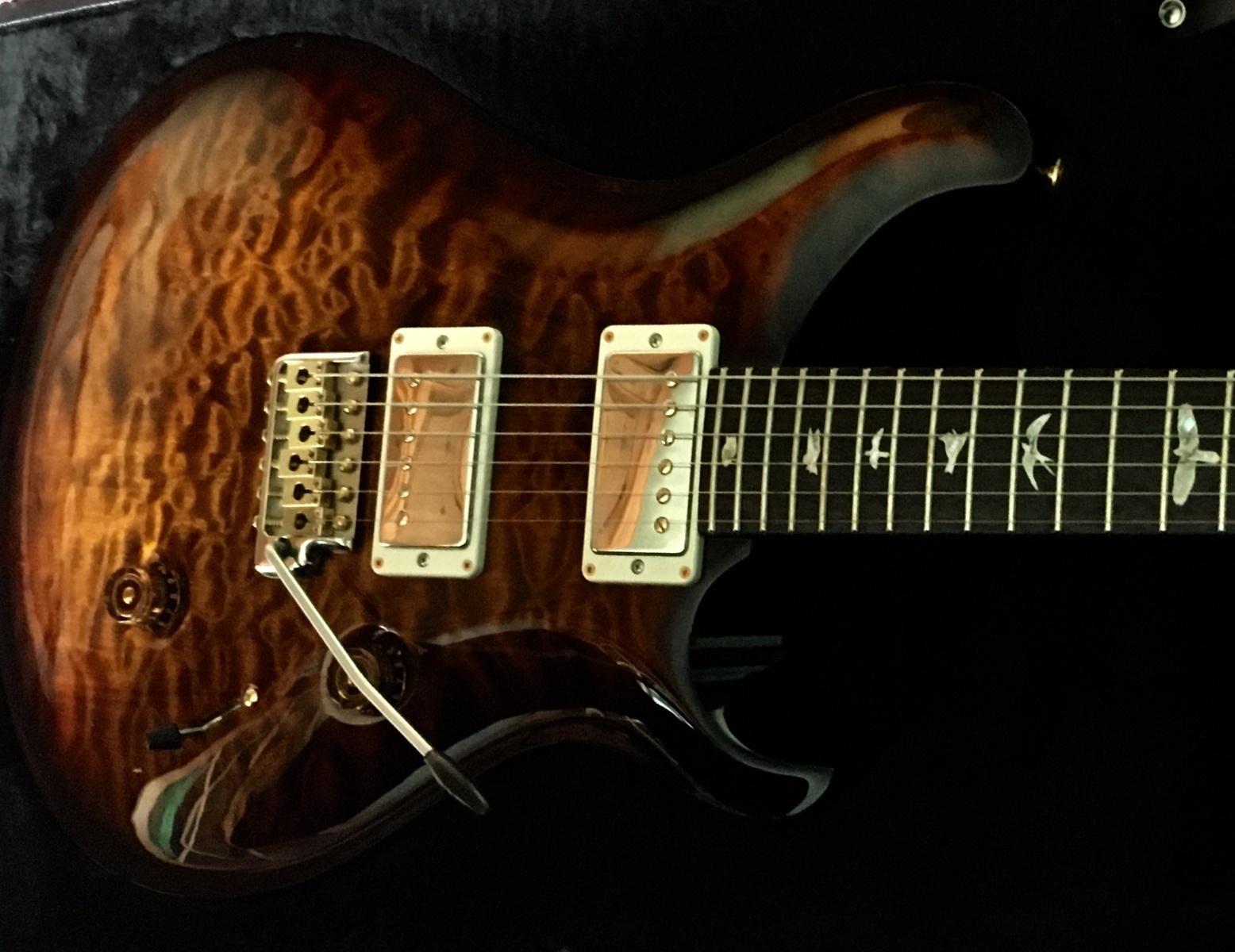 Music Gear Setup by douglas_cleland featuring PRS custom 24 artist pack