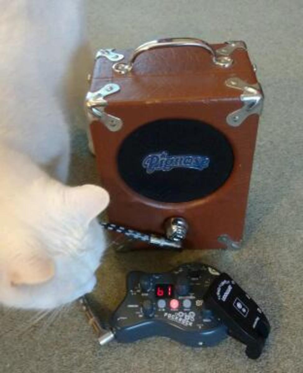 Pignose Pedalboard by mylittleeye featuring Pignose "Legendary" 7-100 and Ammoon Pockrock
