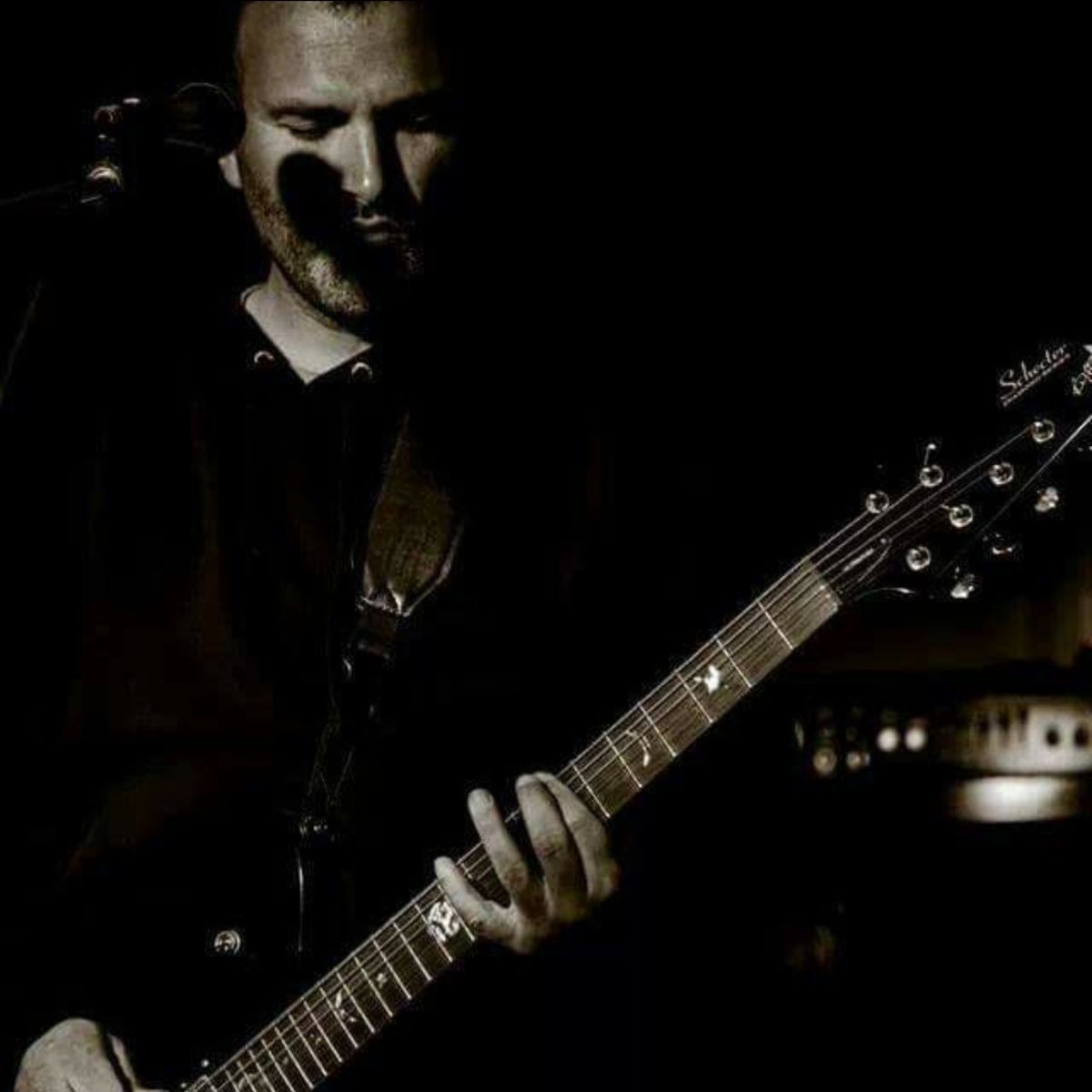 Pedalboard by benoitborie featuring Schecter UltraCure