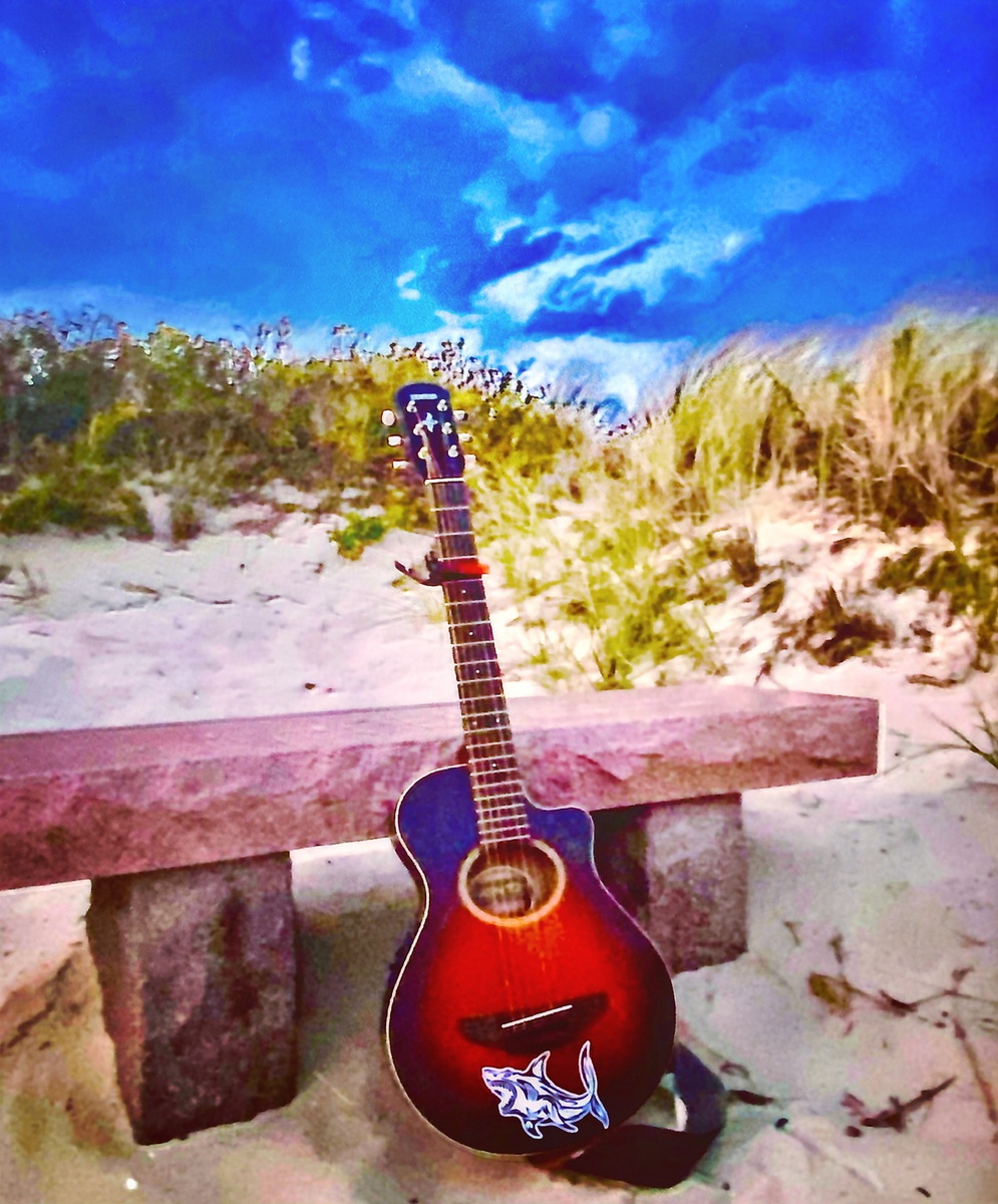 Music Gear Setup by joeynowd featuring Yamaha APX3