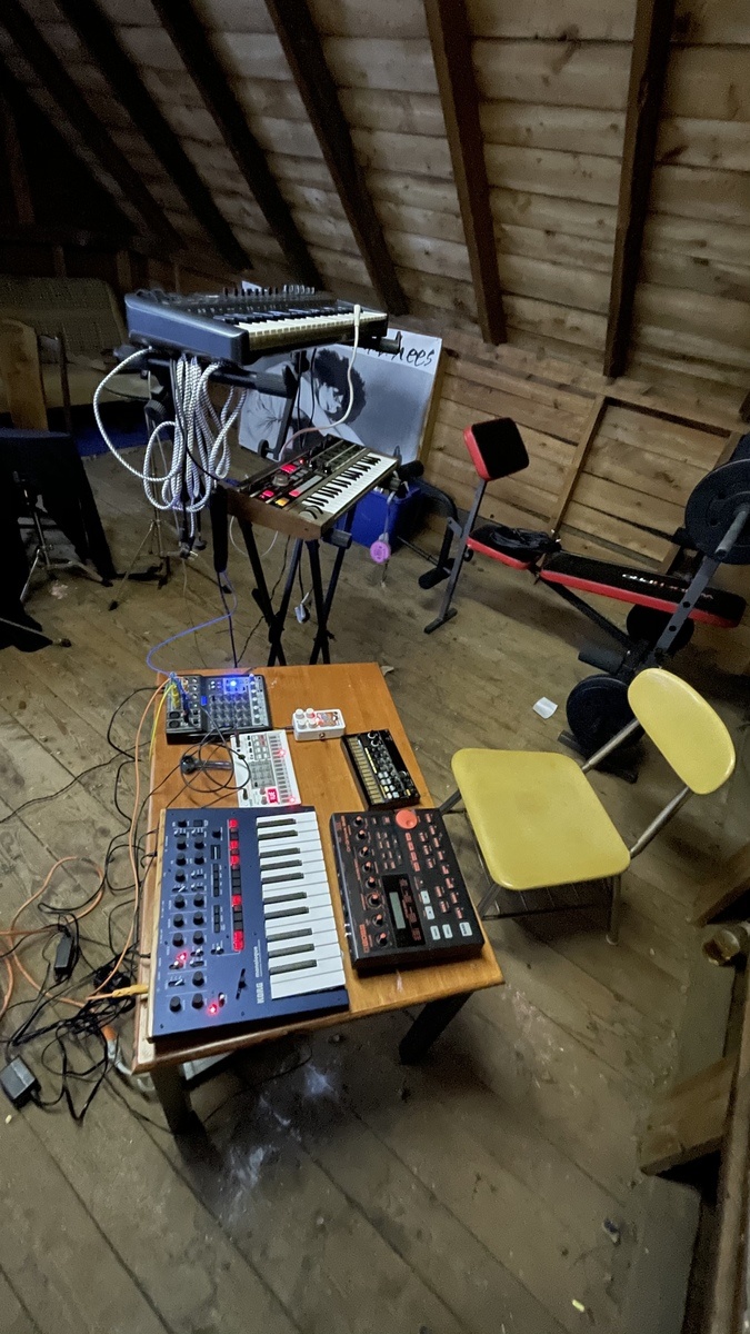 Live Rig by gregory_wright featuring Korg Monologue Blue, Korg Volca Sample, and Korg MicroKORG
